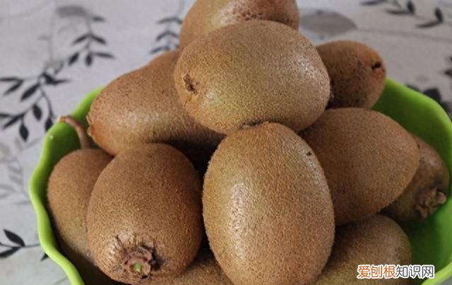 奇异果和猕猴桃外形有什么区别 猕猴桃和奇异果的区别故事