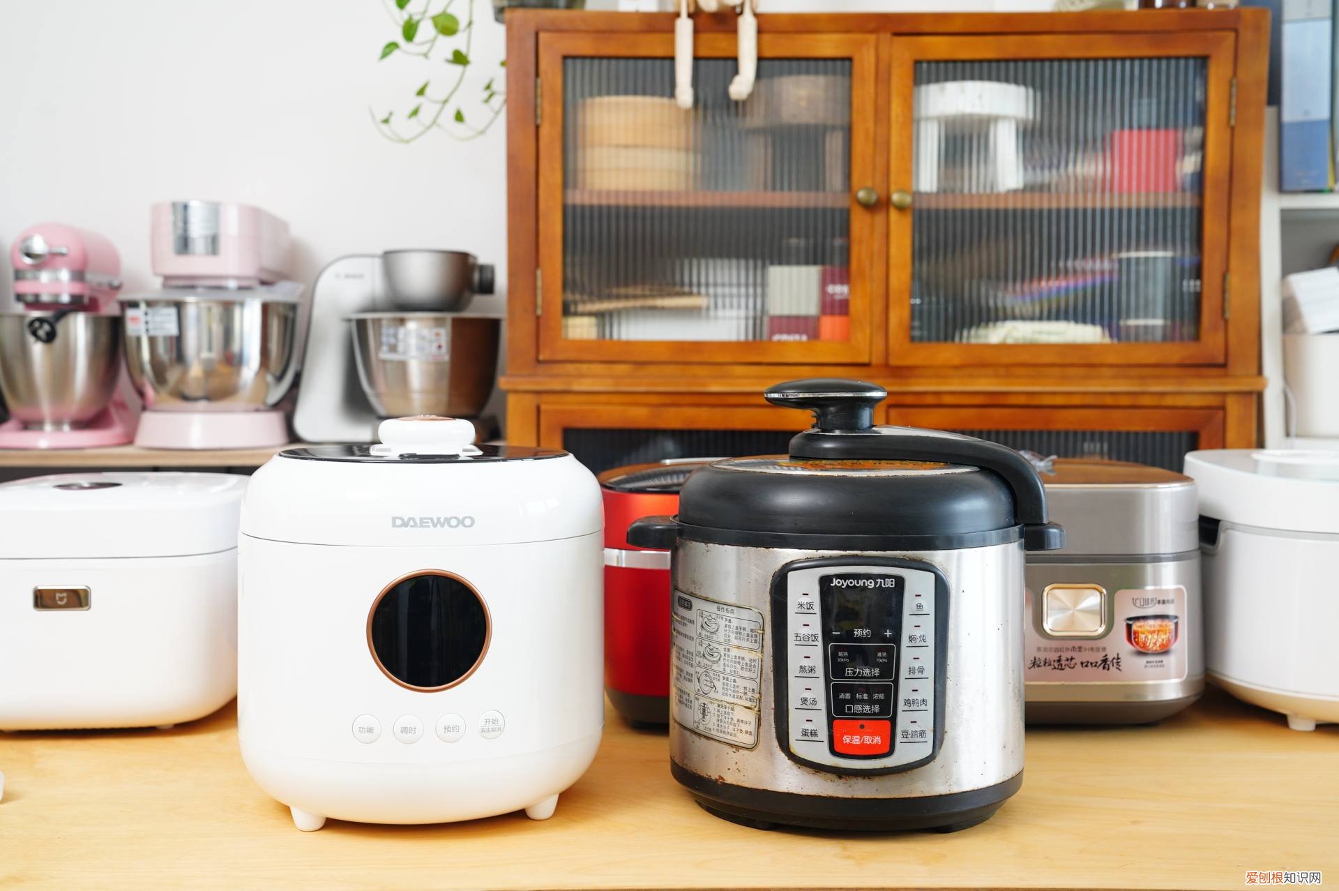 九阳电压力锅质量怎么样?