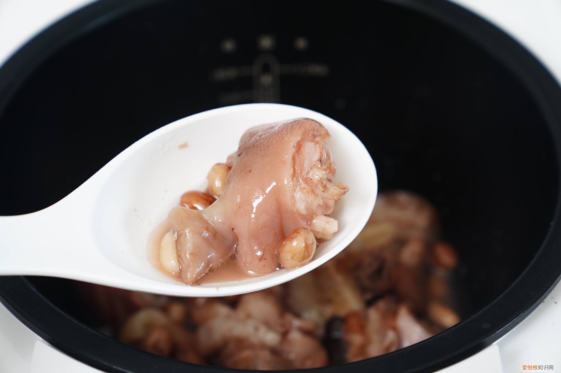 九阳电压力锅质量怎么样?