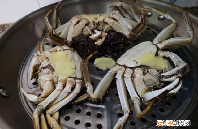 螃蟹怎么蒸才好吃螃蟹要蒸几分钟