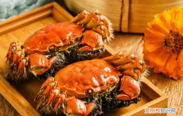 螃蟹怎么蒸才好吃螃蟹要蒸几分钟