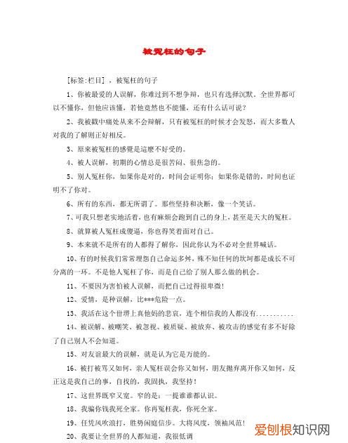 形容被冤枉的经典句子