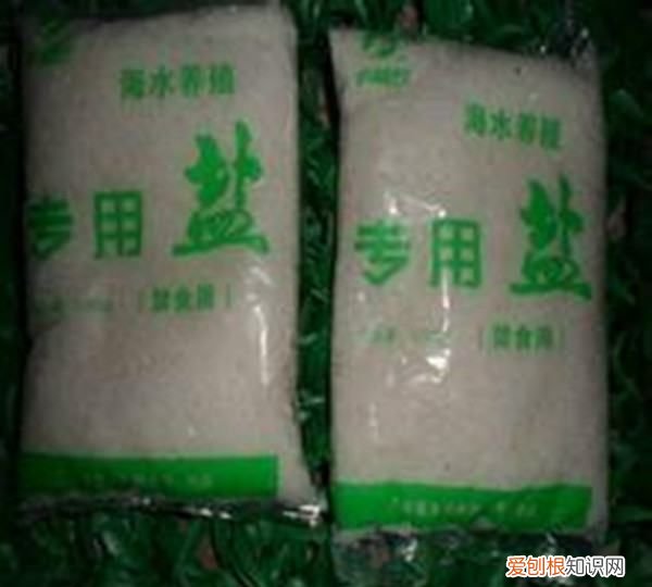 养鱼加盐可以消毒吗,食用盐可以放鱼缸里消毒