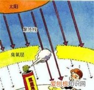 臭氧的作用，氧气、氮气、二氧化碳以及臭氧的作用