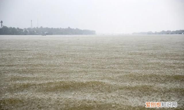 坐看黑云衔猛雨，忽作漫天白练垂