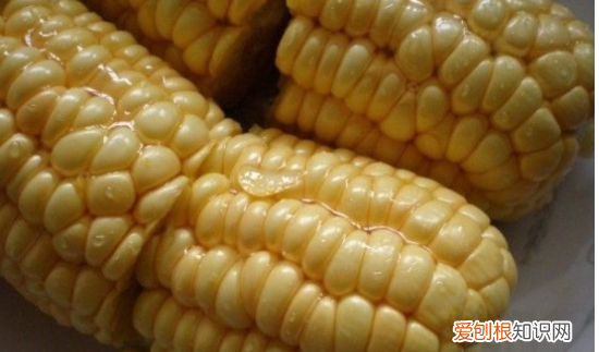 微波炉烤玉米会爆炸，烤箱能烤玉米吗烤箱会不会爆炸