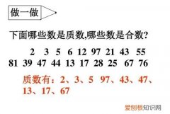 既是质数又是合数的数有哪些