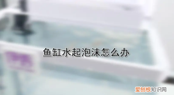 鱼缸水有泡沫怎么回事，鱼缸水面上有许多气泡,为什么?