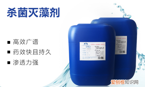 鱼缸水发绿怎么解决,鱼缸水发绿是什么原因怎么解决