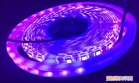 鱼缸水发绿怎么解决，鱼缸水发绿是什么原因怎么解决