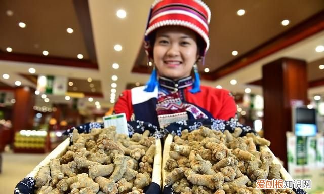 文山三七选购的方法你知道多少