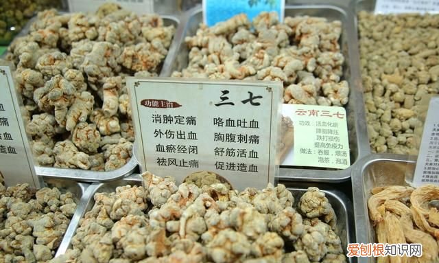 文山三七选购的方法你知道多少