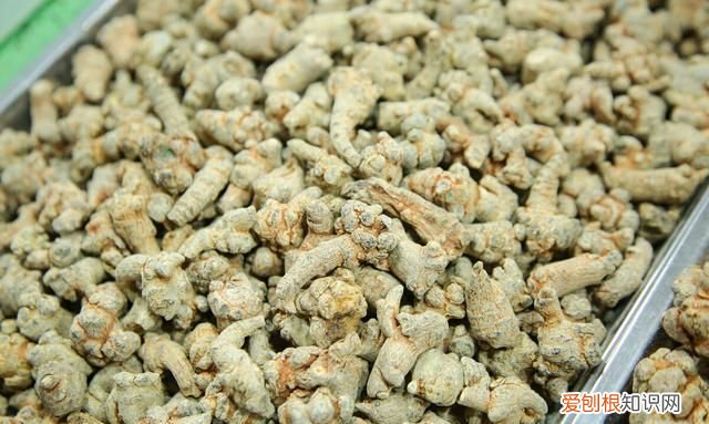 文山三七选购的方法你知道多少