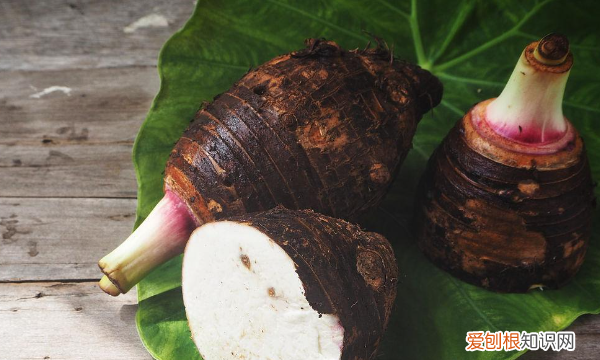 芋头发芽了还能吃