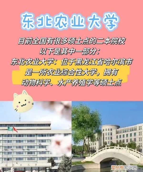 二本有研究生，二本可以考研究生吗