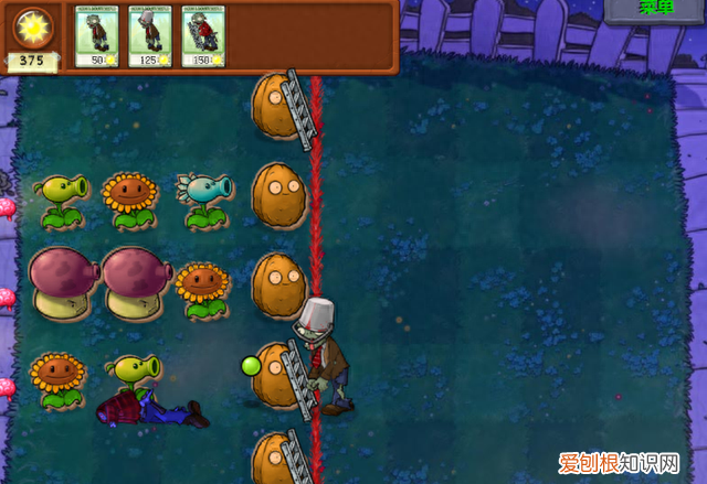 植物大战僵尸完全傻了攻略,植物大战僵尸怎么走向落寞的
