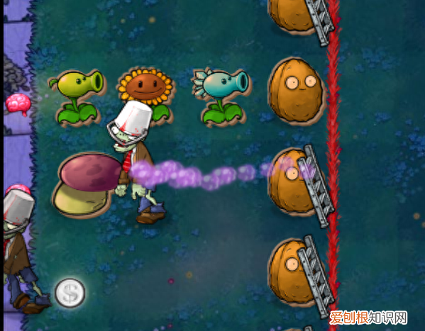 植物大战僵尸完全傻了攻略,植物大战僵尸怎么走向落寞的
