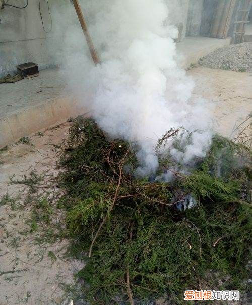 自制烟熏腊肉如何制作，烟熏腊肉制作方法视频