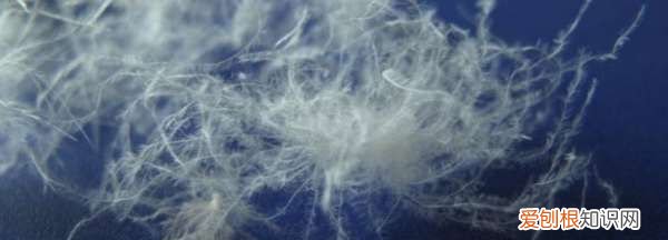 国标90绒是什么绒,国标90绒的含义什么