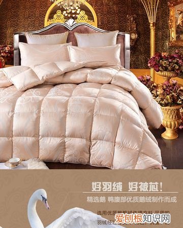 羽绒被与羽丝被的区别,鹅绒被和羽绒被的区别是什么