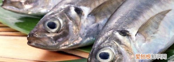 鱼眼睛可以吃不,鱼眼睛里白色球能吃