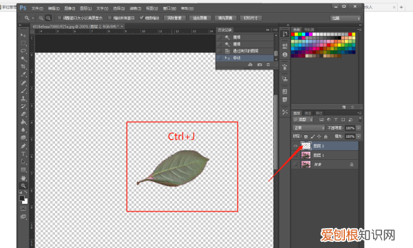 PS套索怎么抠图，套索工具怎么抠图移到另一图片上
