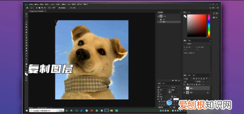 PS套索怎么抠图，套索工具怎么抠图移到另一图片上