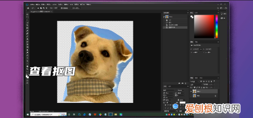 PS套索怎么抠图，套索工具怎么抠图移到另一图片上