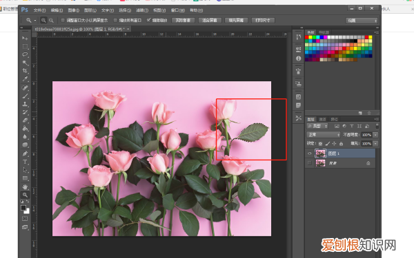 PS套索怎么抠图，套索工具怎么抠图移到另一图片上