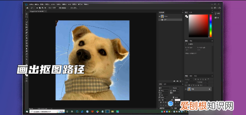 PS套索怎么抠图，套索工具怎么抠图移到另一图片上