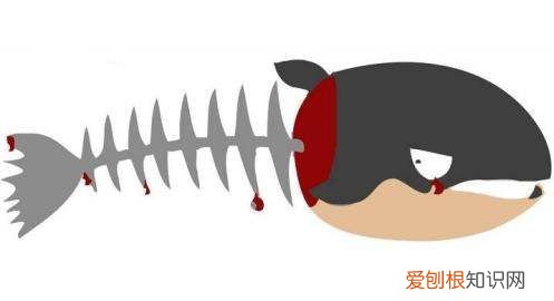 鱼刺卡在食管里怎么办,吃饭卡住鱼刺的正确处理方法视频