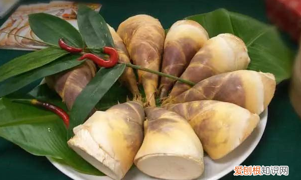 温州特产有哪些,温州特产有哪些土特产