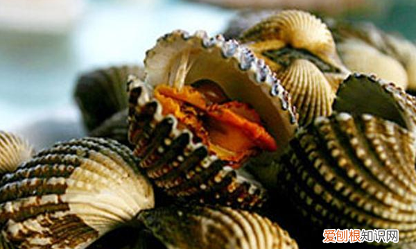 温州特产有哪些,温州特产有哪些土特产