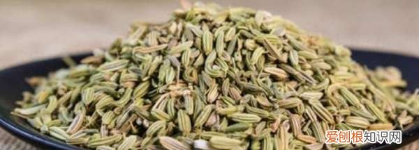 调料小茴香怎么用,调料茴香如何使用