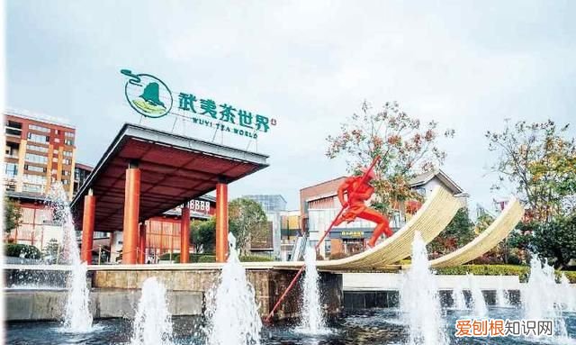 福建省武夷山市茶区变景区,南平市武夷山市产茶区