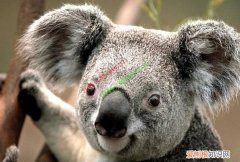 3种方法教你快速去除word水印文字