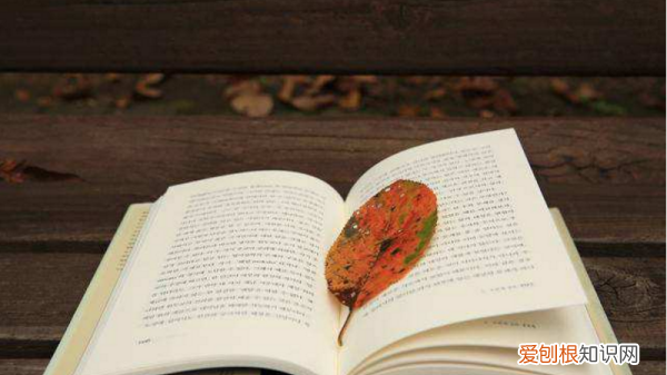 一日不书百事荒芜,一日无书百事荒芜什么意思