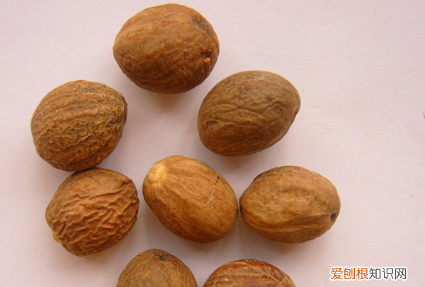 卤肉28种香料副作用,香料中君料有哪几种