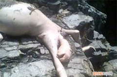 得了水猴子会有生命危险吗,水猴子河童和树懒是同一个生物吗