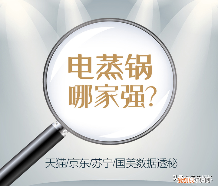 苏泊尔蒸锅哪个型号好用