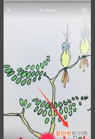 抖音里三屏怎么弄满屏的，怎样把抖音投屏到电视上面