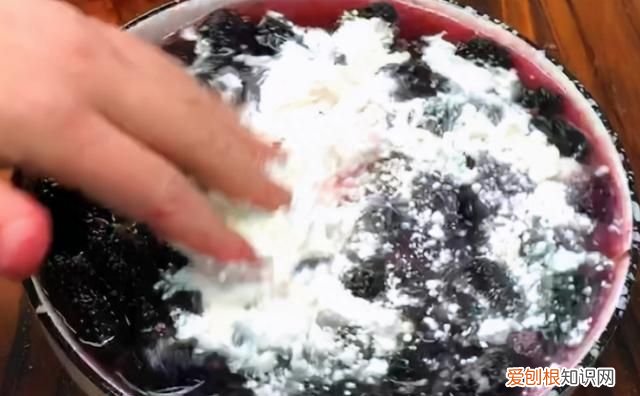 桑葚怎么洗才能消除虫卵