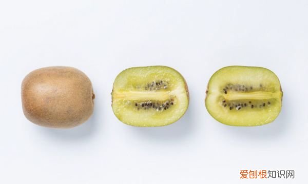 猕猴桃叶子怎么看公母，猕猴桃树苗怎么分公母图片