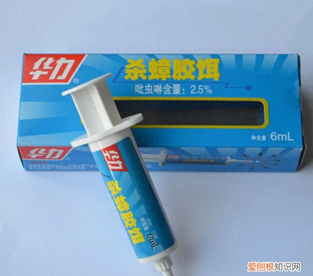 有蟑螂爬到床上怎么办