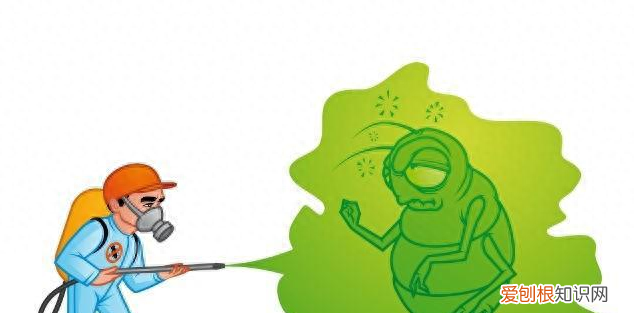 有蟑螂爬到床上怎么办