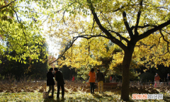 近视200度怎么办，眼睛近视200多度怎么办才能恢复