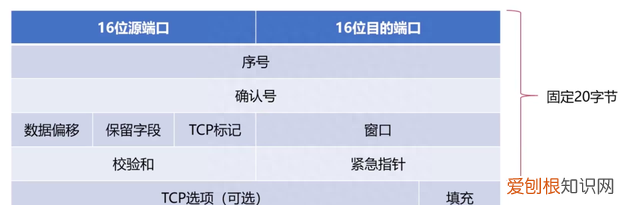 36张图详解计算机网络知识点,计算机网络必背知识点图例
