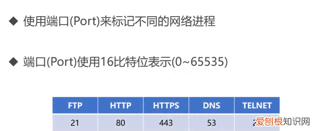 36张图详解计算机网络知识点,计算机网络必背知识点图例