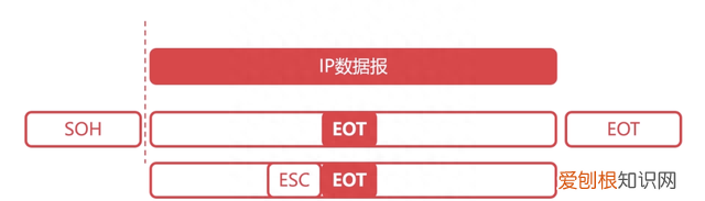 36张图详解计算机网络知识点,计算机网络必背知识点图例