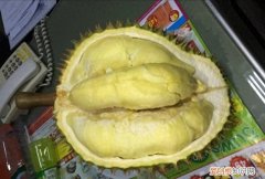 金枕头榴莲冻干泰奥琪 泰奥琪金枕榴莲